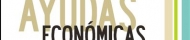 ayudas dona empresa ceei castelln